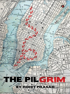 cover image of The Pilgrim